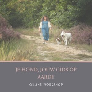 Online workshop Je hond, jouw gids op aarde